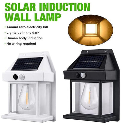 Solar Wall Lights  Lamp/Lantern With 3 Modes  Exterior Lighting With Clear Panel (1 Pc )